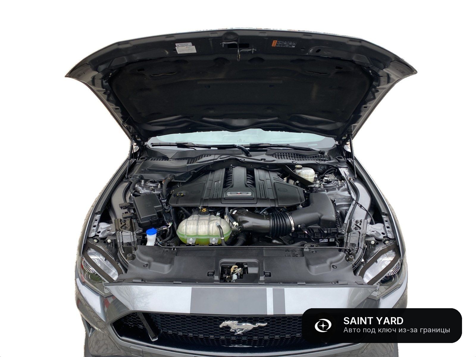 Ford Mustang GT — фото 9